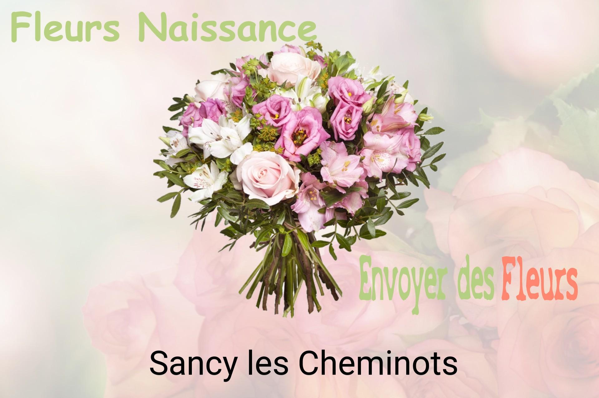 Bouquet de fleurs de naissance livré à Sancy-les-Cheminots